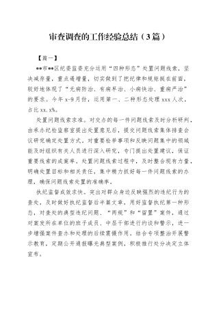 （3篇）审查调查的工作经验总结
