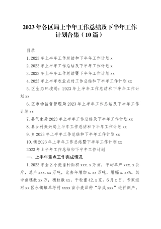 （9篇）2023年各区局上半年工作总结及下半年工作计划合集