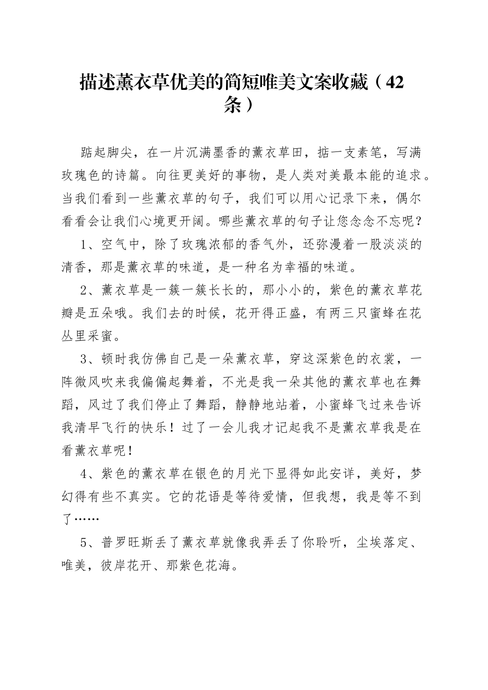 （42条）描述薰衣草优美的简短唯美文案收藏_第1页