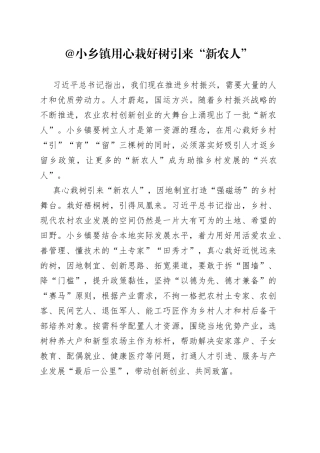 @小乡镇街道 用心栽好树 引来“新农人”