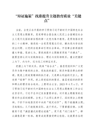 “辩证施策”找准提升主题教育质效“关键点”