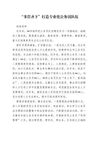 “多管齐下”打造专业化公务员队伍经验材料