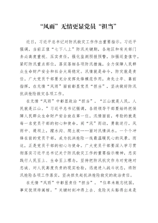 “风雨”无情更显党员“担当”