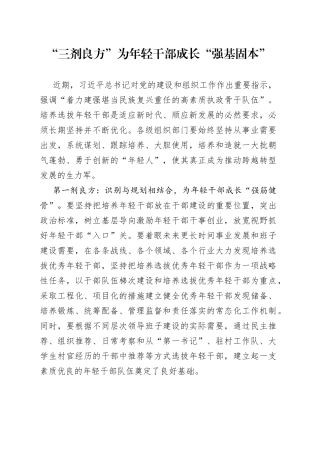 “三剂良方”为年轻干部成长“强基固本”
