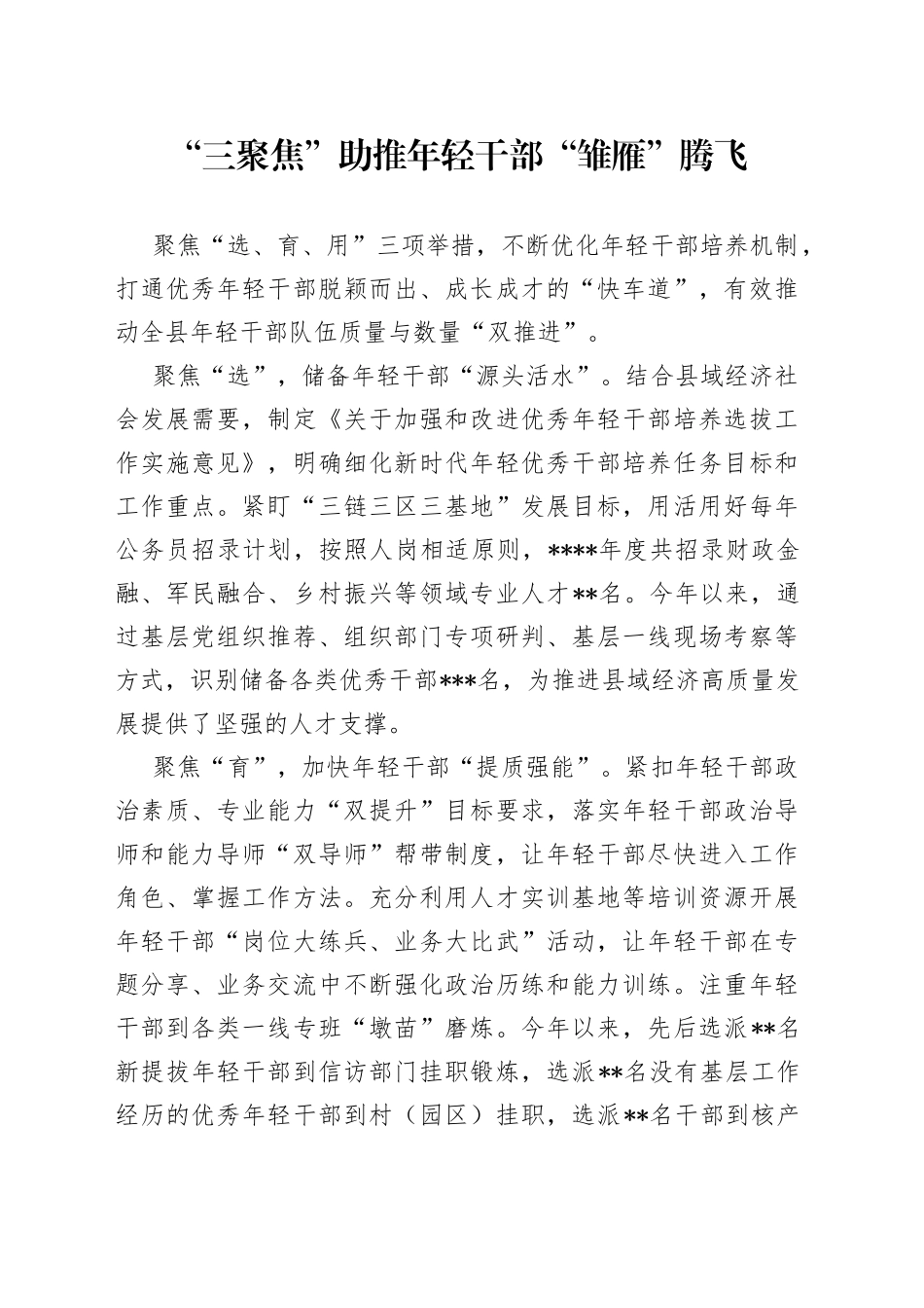 “三聚焦”助推年轻干部“雏雁”腾飞_第1页