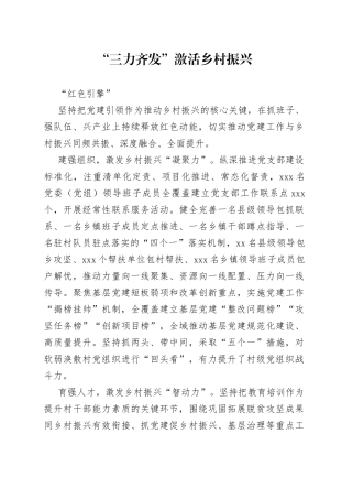 “三力齐发”激活乡村振兴“红色引擎”（农村党建）