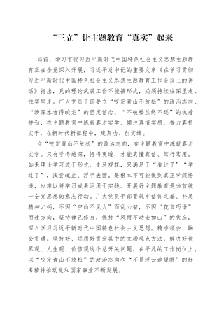 “三立”让主题教育“真实”起来