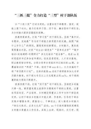 “三抓三提”全力打造“三型”村干部队伍（农村党建）