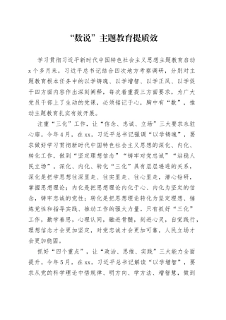 “数说”主题教育提质效