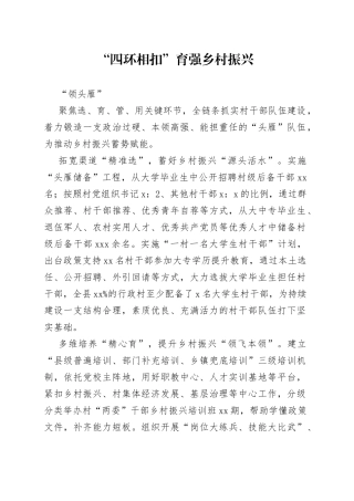 “四环相扣”育强乡村振兴“领头雁”（农村党建）