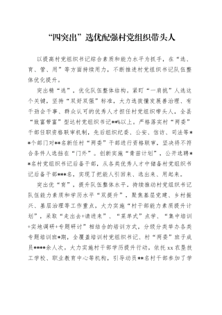 “四突出”选优配强村党组织带头人