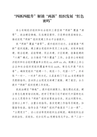 “四抓四提升”解锁“两新”组织发展“红色密码”