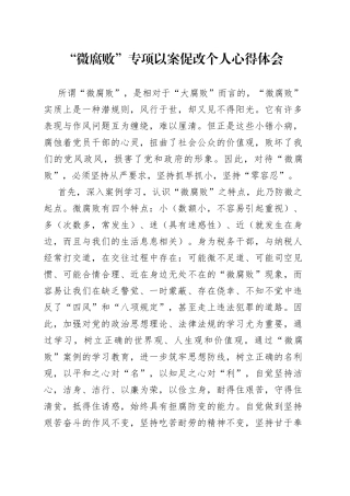 “微腐败”专项以案促改个人心得体会