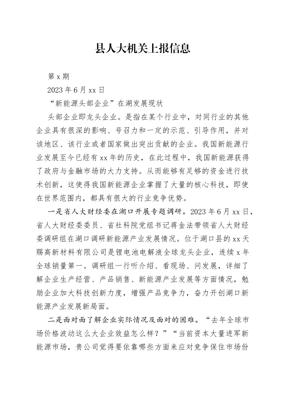 “新能源头部企业”发展现状_第1页