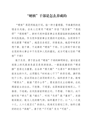 “硬核”干部是怎么养成的