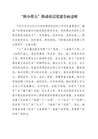 “抓小带大”推动基层党建全面过硬