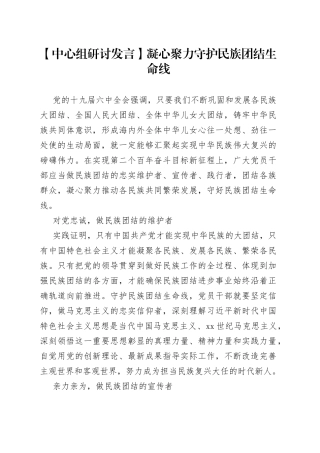 【中心组研讨发言】凝心聚力守护民族团结生命线