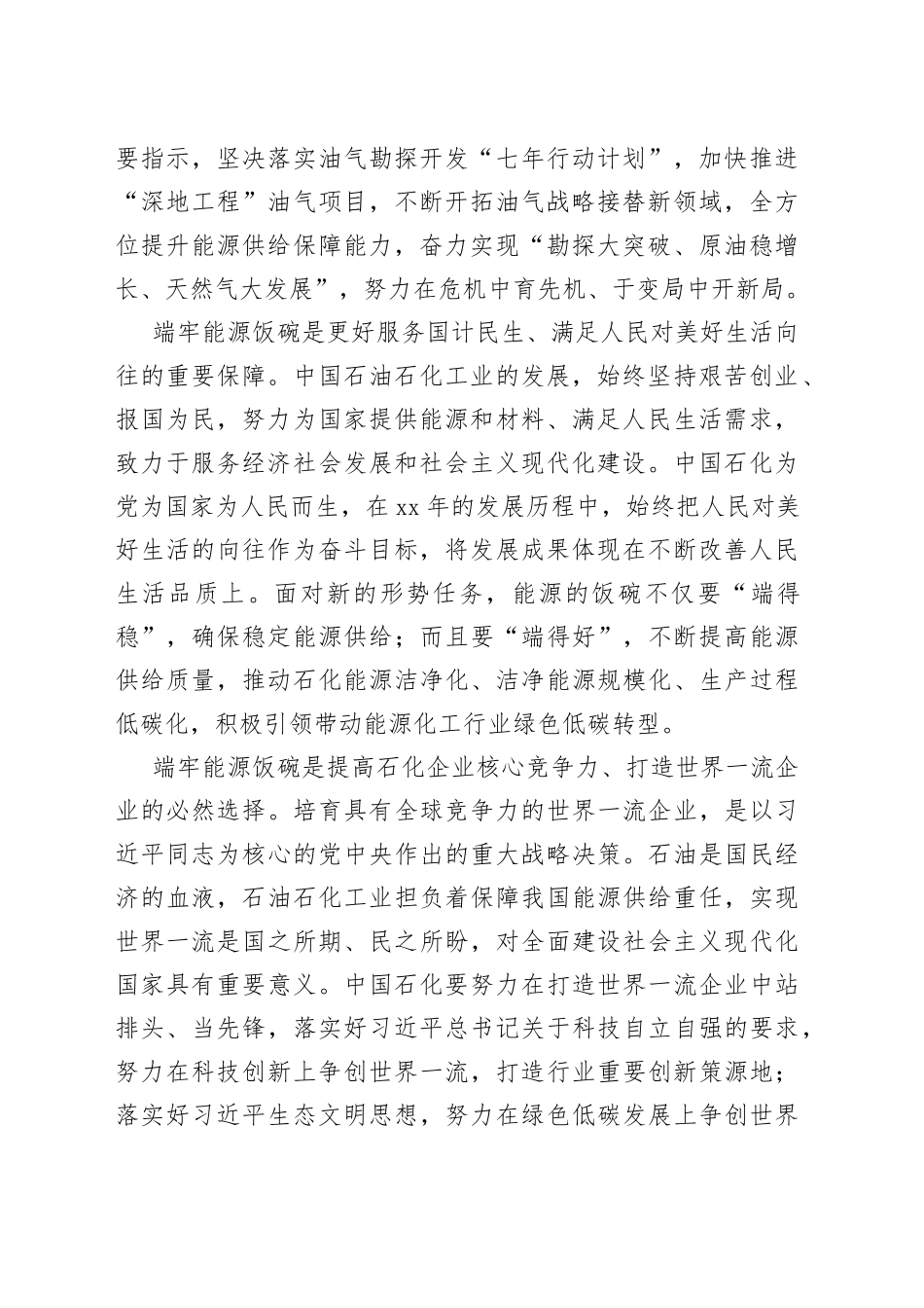 【中心组研讨发言】深刻感悟思想伟力　坚决端牢能源饭碗_第2页