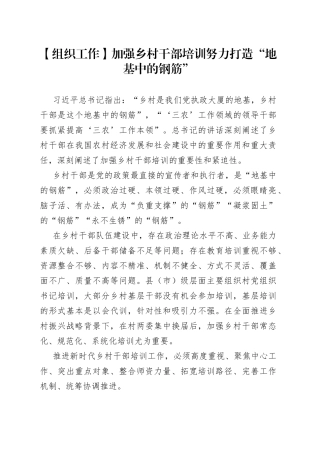 【组织工作】加强乡村干部培训 努力打造“地基中的钢筋”