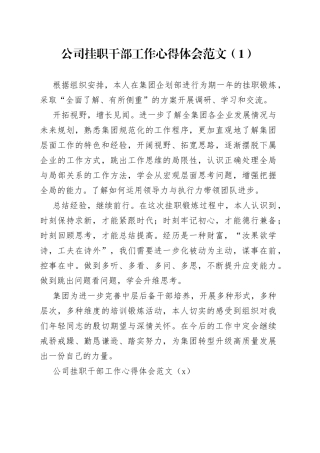 2篇公司挂职干部工作心得体会企业研讨发言材料感悟230922