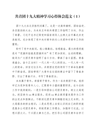 2篇共青团十九大精神学习心得体会研讨发言材料230629
