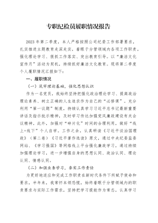 专职纪检员履职情况报告