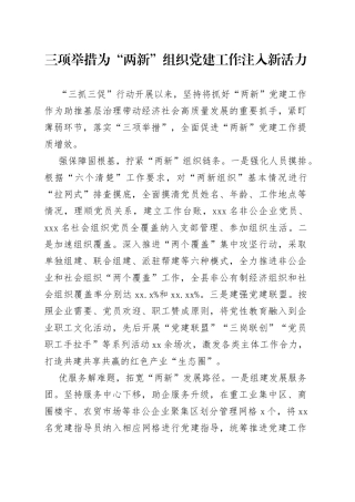 三项举措为“两新”组织党建工作注入新活力（两新党建）