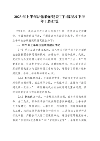 2023 年上半年法治政府建设工作情况及下半年工作打算（20230620）
