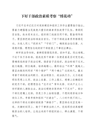 下好干部政治素质考察“绣花功”