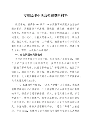 专题民主生活会检视剂析材料