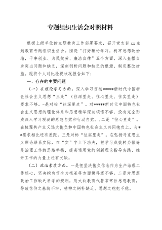 专题组织生活会检视剖析材料