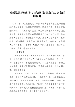 两新党建经验材料：示范引领促成长  以点带面同提升