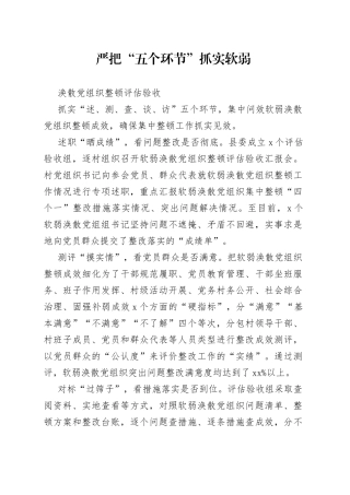 严把“五个环节”抓实软弱涣散党组织整顿评估验收