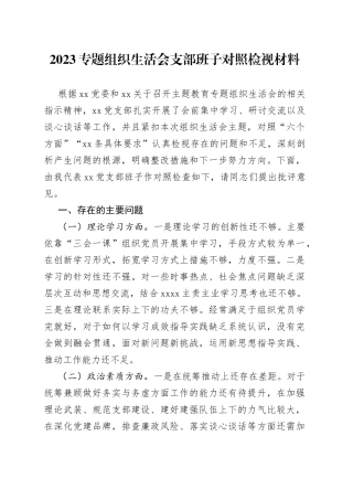 2023专题组织生活会支部班子对照检视材料