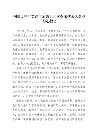 中国共产主义青年团第十九次全国代表大会学习心得2