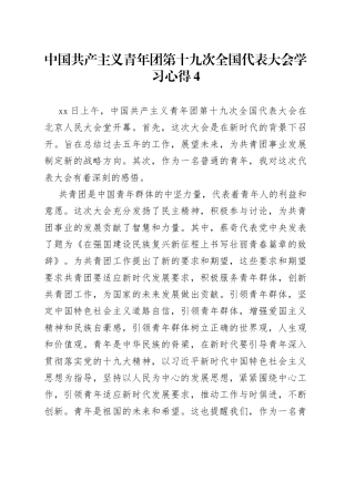 中国共产主义青年团第十九次全国代表大会学习心得4