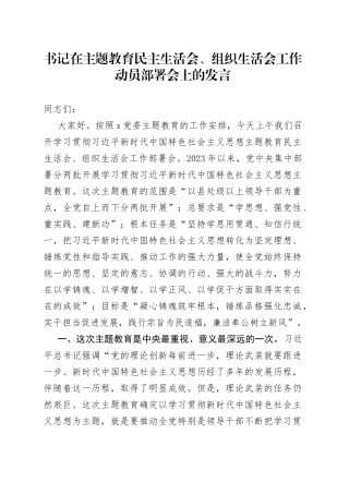 书记在主题教育民主生活会、组织生活会工作动员部署会上的发言