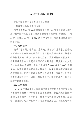 2023年XXX中心学习贯彻习近平新时代中国特色社会主义思想主题教育推动发展工作方案