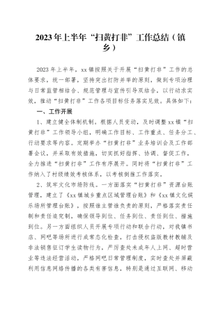 2023年上半年“扫黄打非”工作总结（镇乡）