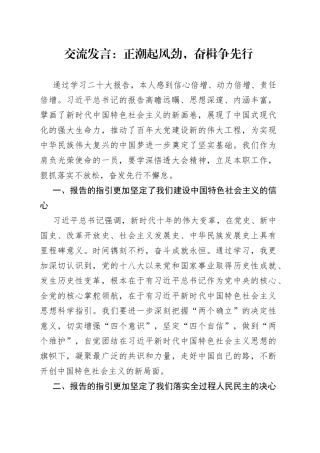 交流发言：正潮起风劲，奋楫争先行