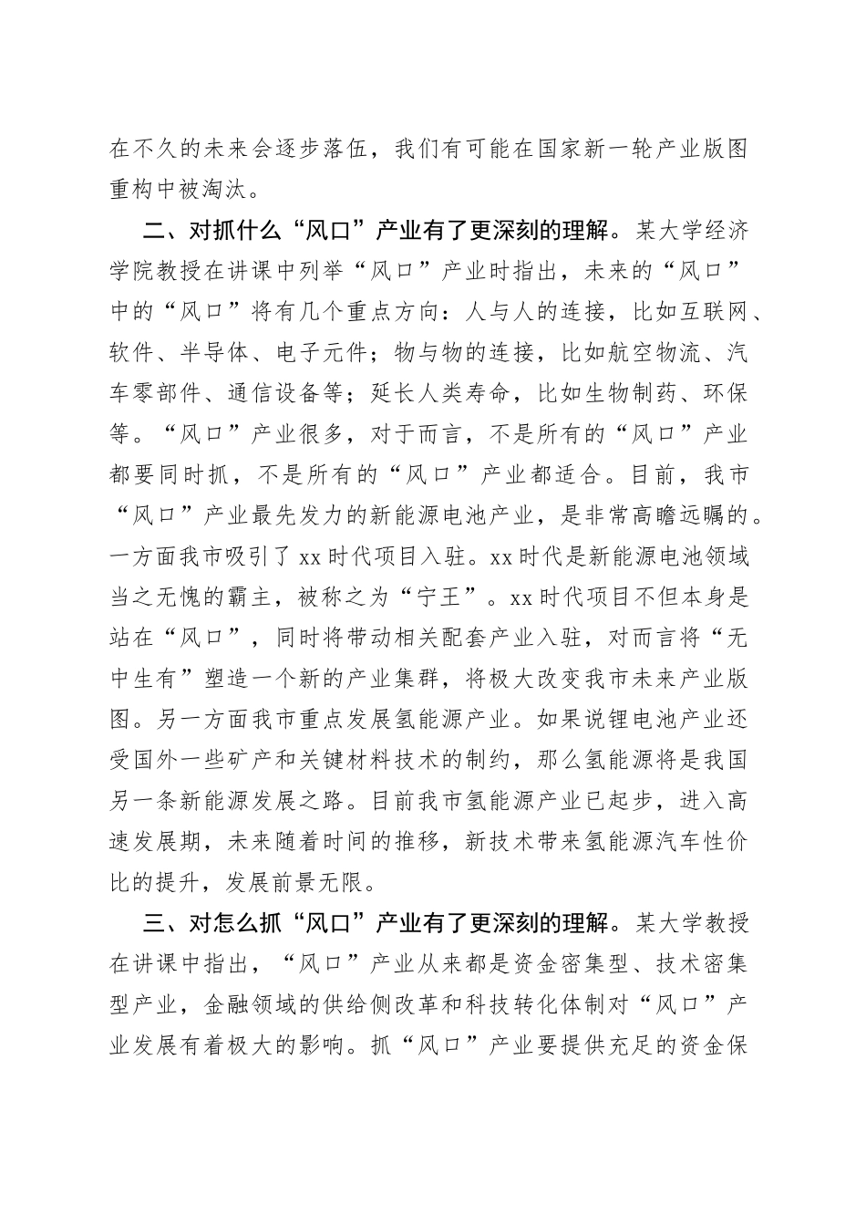 交流发言：重振辉煌，必须抢占风口产业新赛道_第2页