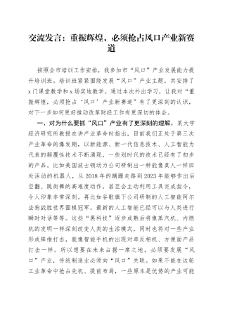 交流发言：重振辉煌，必须抢占风口产业新赛道