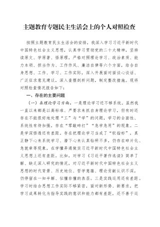 主题教育专题民主生活会上的个人对照检查