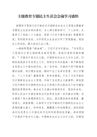 主题教育专题民主生活会会前学习感悟