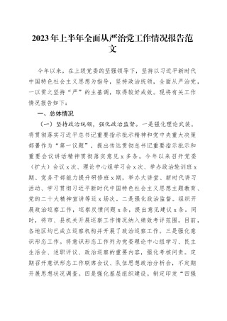2023年上半年全面从严治党工作报告总结汇报230706