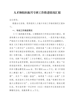 人才和组织振兴专班工作情况汇报