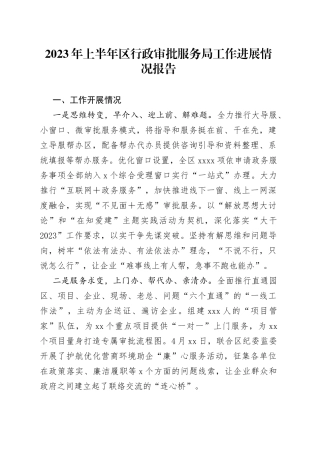 2023年上半年区行政审批服务局工作进展情况报告