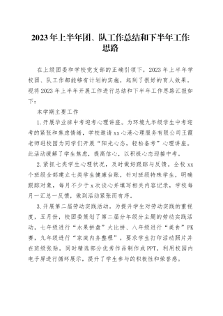2023年上半年团、队工作总结和下半年工作思路（20230628）