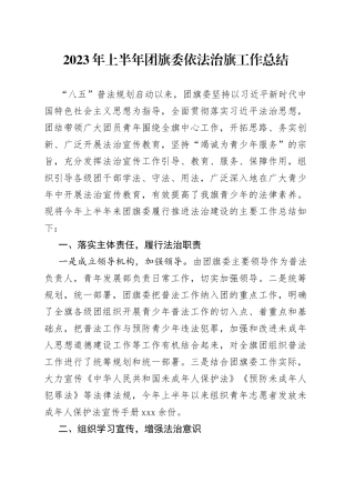 2023年上半年团旗委依法治旗工作总结