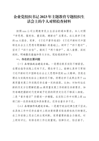 企业党组织书记2023年主题教育专题组织生活会上的个人对照检查材料